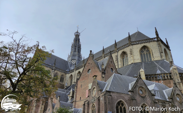 Ausflugstipps Ijmuiden - St. Bavo Kirche in Haarlem 